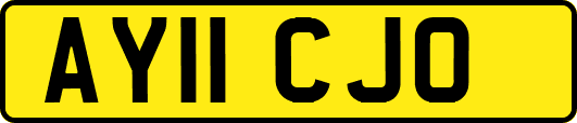AY11CJO