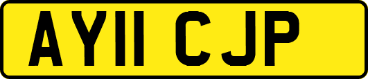 AY11CJP