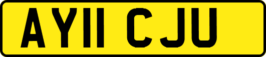 AY11CJU
