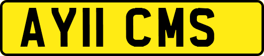 AY11CMS