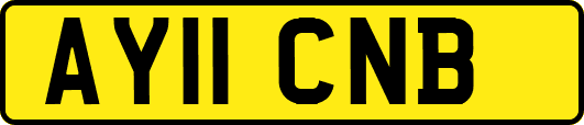 AY11CNB