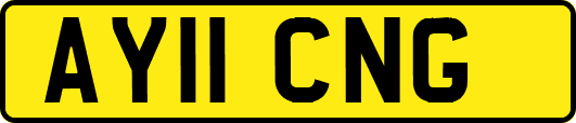 AY11CNG