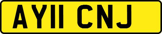 AY11CNJ
