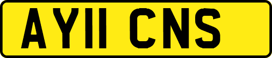 AY11CNS