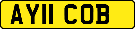 AY11COB