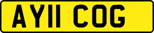 AY11COG