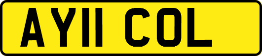 AY11COL
