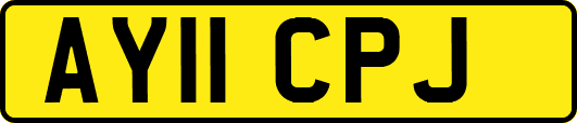 AY11CPJ