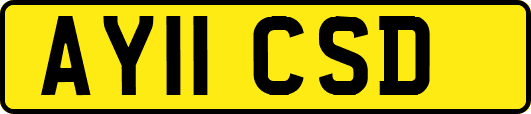 AY11CSD