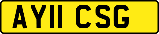 AY11CSG