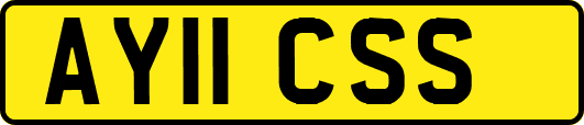 AY11CSS