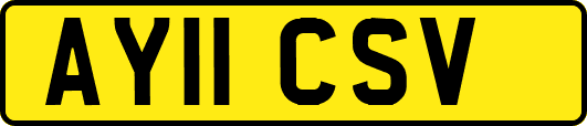 AY11CSV