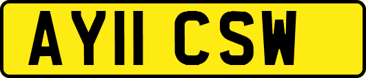 AY11CSW