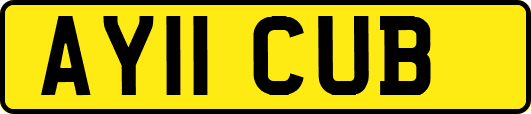 AY11CUB