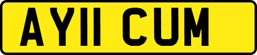 AY11CUM