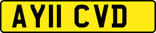 AY11CVD