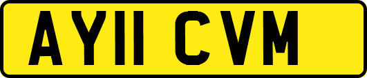 AY11CVM