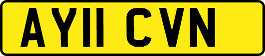 AY11CVN