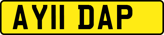 AY11DAP
