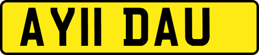 AY11DAU
