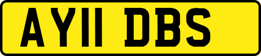 AY11DBS