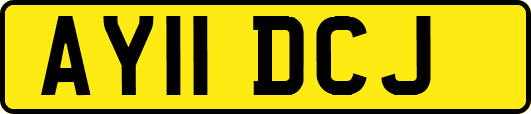 AY11DCJ