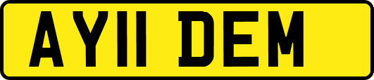AY11DEM