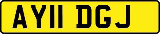 AY11DGJ