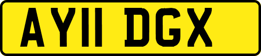 AY11DGX