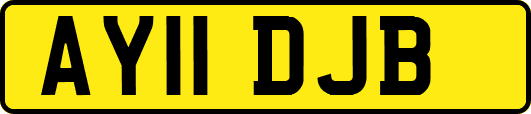 AY11DJB