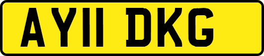 AY11DKG