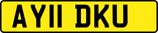 AY11DKU