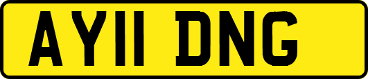 AY11DNG