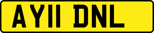 AY11DNL