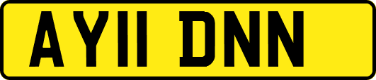 AY11DNN