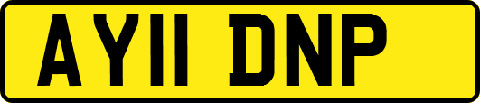 AY11DNP