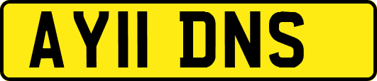 AY11DNS