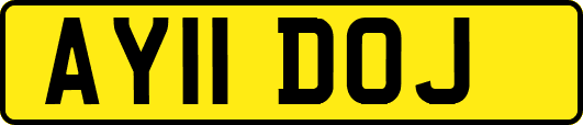 AY11DOJ