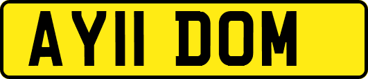 AY11DOM
