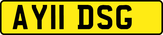AY11DSG