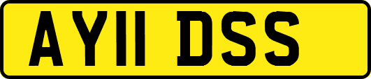 AY11DSS
