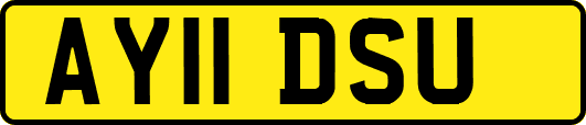 AY11DSU