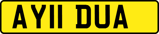 AY11DUA