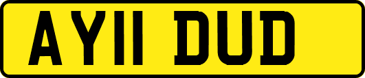 AY11DUD