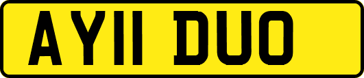 AY11DUO