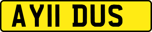 AY11DUS