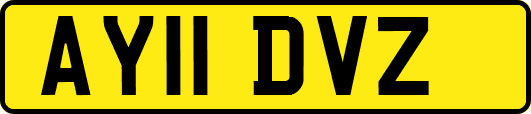 AY11DVZ