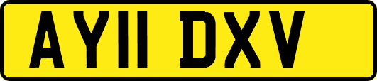 AY11DXV