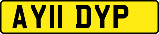 AY11DYP