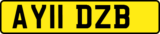 AY11DZB